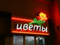 Магазин "Artflora Цветы", г.Минск, ул.Немига. 2009г.