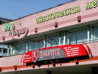 Магазин "Мир ротанга", магазин "Кольчуга", г.Минск, ул.Кижеватова. 2003г.